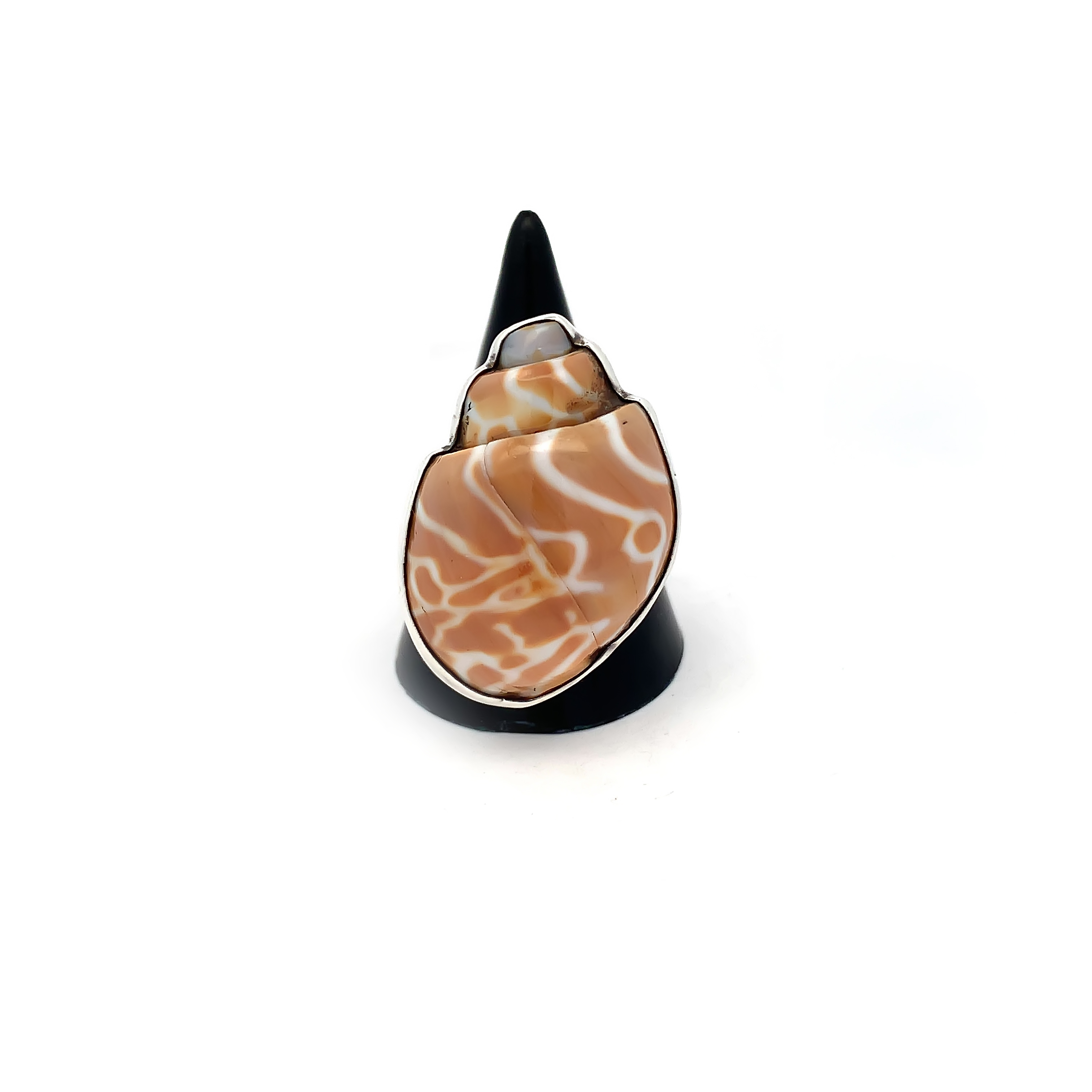Natural cone shell ring - Gem.  925 Sterling Silver Ring 